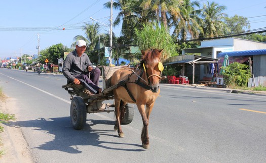 Xe ngựa - Biểu tượng văn hóa "độc bản" miền biên viễn Tây Nam