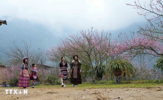 Tết của đồng bào Dao Khâu ở vùng cao Sìn Hồ