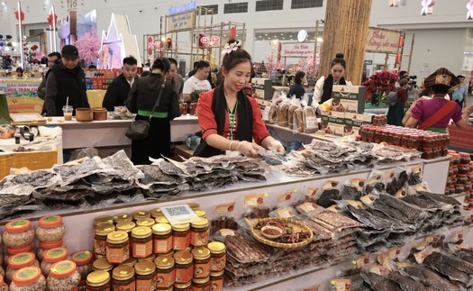 Hơn 3.000 gian hàng tham gia Hội chợ mùa Xuân 2026
