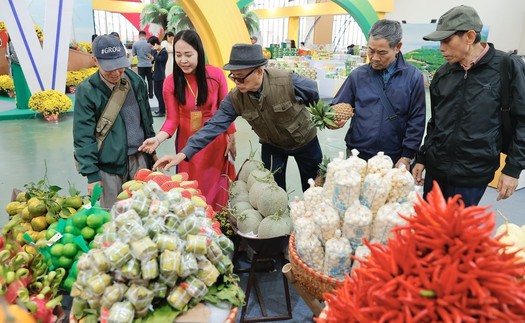 Hội chợ Mùa Xuân 2026: Kích hoạt không gian giao thương hòa nhịp cùng sắc xuân văn hóa
