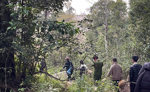 Kịp thời tìm kiếm, đưa 4 du khách lạc rừng Tây Yên Tử về nơi an toàn