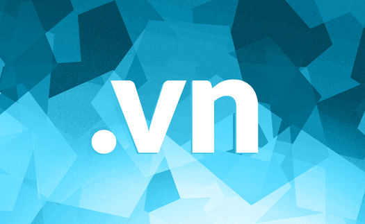 Lần đầu tiêu đấu giá tên miền hiếm 2 ký tự quốc gia “.vn”
