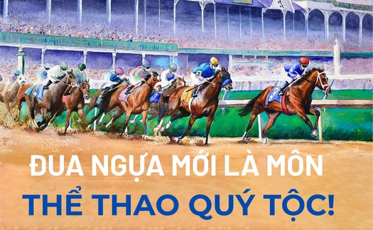Đua ngựa mới là môn thể thao quý tộc!