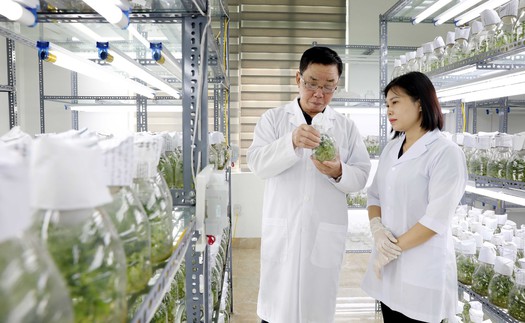 Đột phá theo Nghị quyết 57: Lấy sản phẩm làm thước đo đột phá phát triển