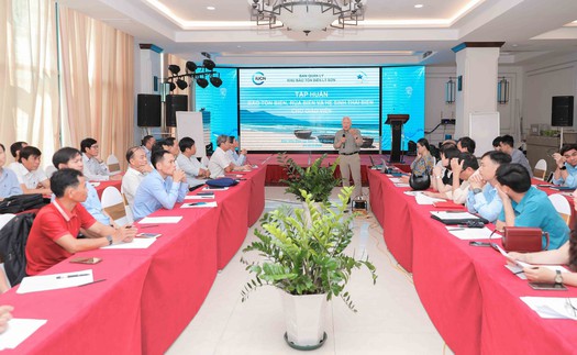 Tập huấn công tác bảo tồn hệ sinh thái biển cho giáo viên đặc khu Lý Sơn