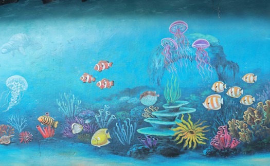 Hài hòa giữa phát triển du lịch và bảo tồn biển trên đảo An Bình