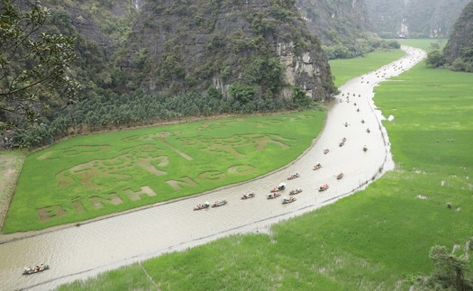 Ninh Bình dệt bức tranh bằng lúa khổ lớn giữa muôn trùng núi non