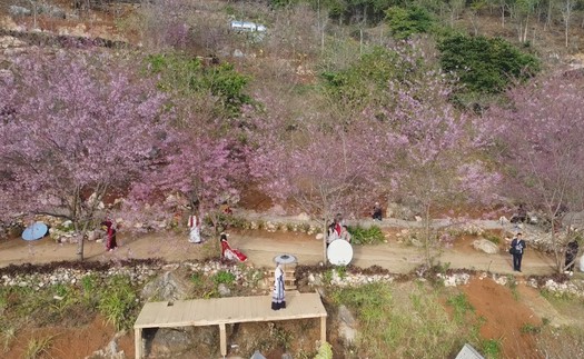 Đưa Mộc Châu trở thành điểm đến hấp dẫn của vùng Tây Bắc