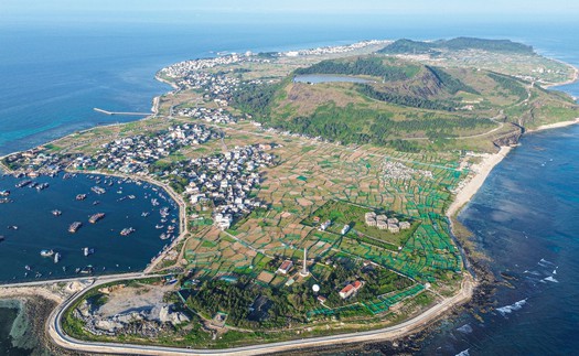 Quảng Ngãi: Ứng dụng công nghệ cao nâng tầm giá trị tỏi Lý Sơn