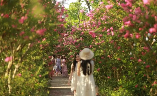 Khám phá loạt điểm đến xanh mới lạ tại Thủ đô