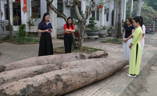 Xác định niên đại của ba cọc gỗ cổ phát hiện tại Ninh Bình
