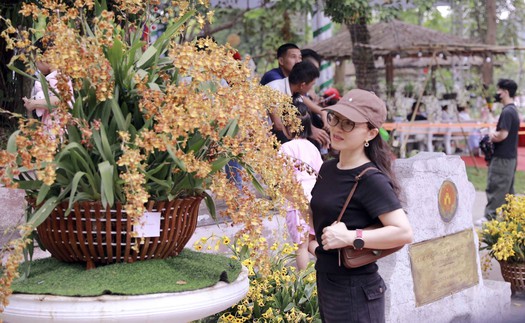 Muôn sắc lan hội tụ, níu chân du khách về Đền Hùng
