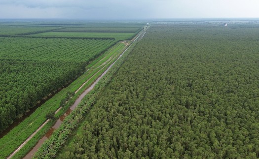 "Hương rừng U Minh" quảng bá nét văn hóa đặc trưng của vùng đất Cực Nam Tổ quốc