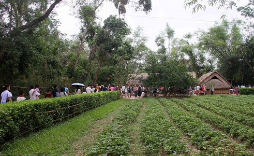Lan tỏa giá trị văn hóa, lịch sử Di tích Kim Liên trong kỷ nguyên số