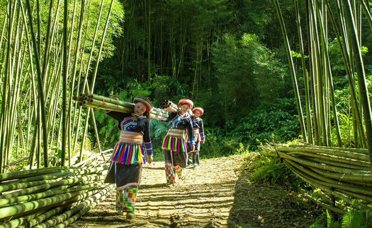 Vì một miền quê đáng sống: Đặc sắc du lịch "Nông nghiệp xanh" Thượng Minh