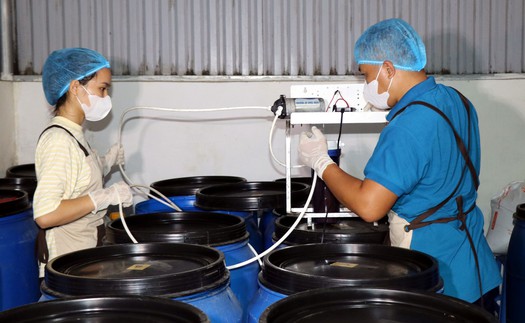 Để doanh nghiệp khởi nghiệp sáng tạo có khả năng cạnh tranh quốc tế