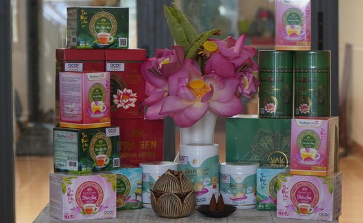 Ẩm thực cao cấp từ sen thu hút đông đảo du khách thưởng thức