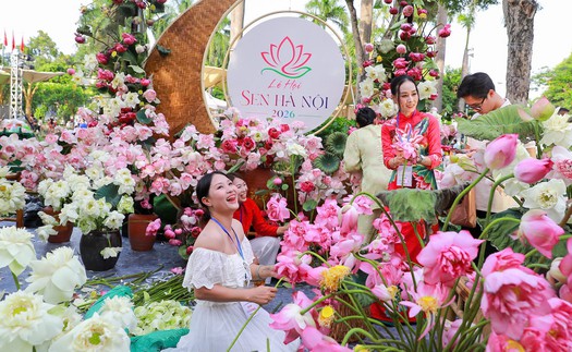 Khi hoa sen kể câu chuyện về Hà Nội