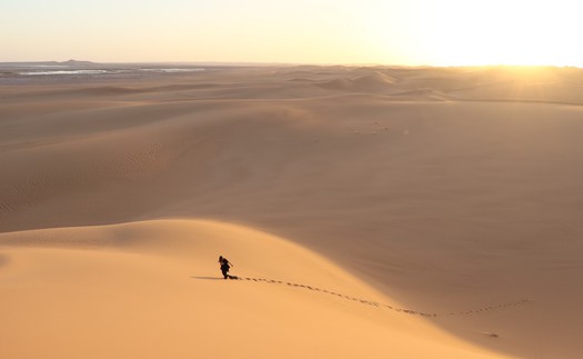 Gần 50 người chết giữa sa mạc Sahara