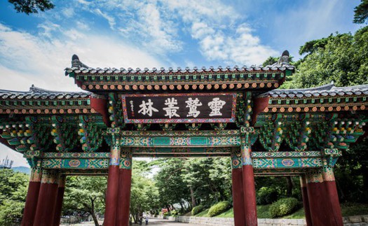 Ủy ban Di sản Thế giới UNESCO khai mạc Kỳ họp lần thứ 48