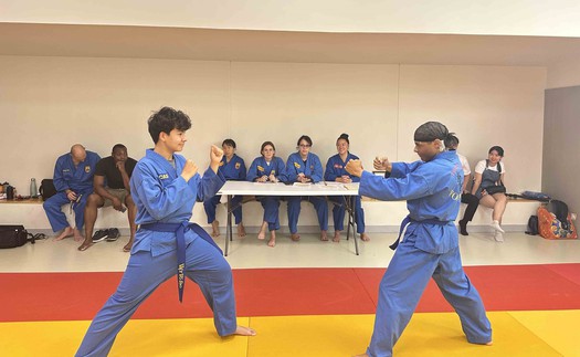 Người Việt tại Pháp lan tỏa văn hóa dân tộc qua võ cổ truyền Vovinam