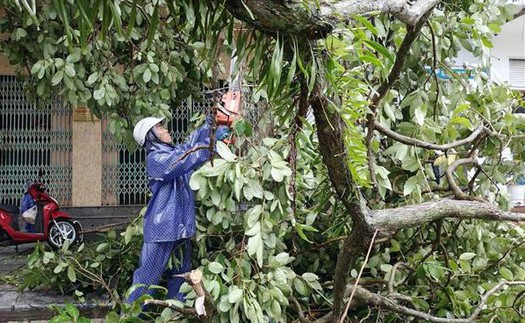 Quảng Ninh nhanh chóng khắc phục hậu quả bão số 1