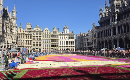 Chiêm ngưỡng thảm hoa Brussels - Di sản Thế giới UNESCO