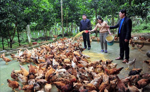 Phát huy giá trị văn hóa bản địa, nâng sức cạnh tranh của sản phẩm OCOP