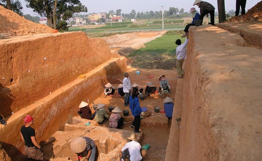 Cổ Loa trong "dòng chảy" thành lũy Việt Nam
