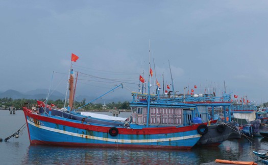 Đà Nẵng thông tin về việc tìm kiếm, cứu nạn tàu cá QNa-90859-TS