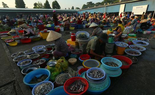 Nét quê ở chợ phường Vị Thanh, Cần Thơ