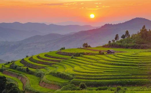 Vẻ đẹp ruộng bậc thang Pu Nhi, Điện Biên