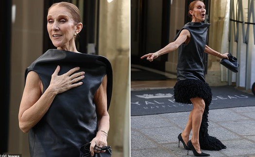 Celine Dion tái xuất, Paris cảnh báo vé giả