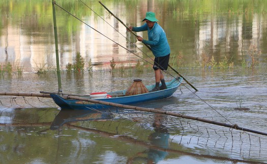Ruộng đồng Cần Thơ vào mùa lũ
