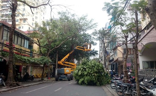 Hà Nội, nắng nóng và cây xanh