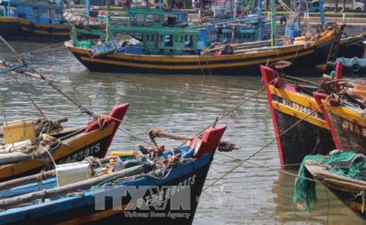 Cập nhật cơn bão số 14: Bình Thuận họp khẩn cấm tàu ra biển