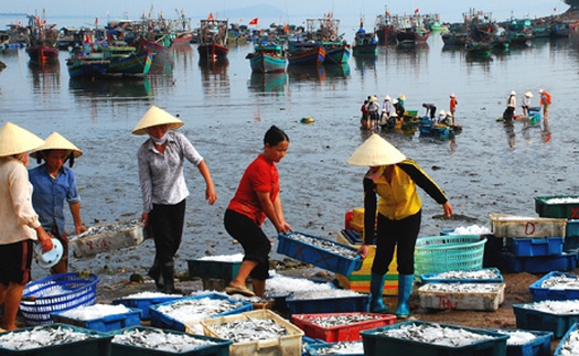 Sầm Sơn, Hải Tiến, Hải Hòa... những bãi biển đẹp để du lịch Thanh Hóa vươn xa