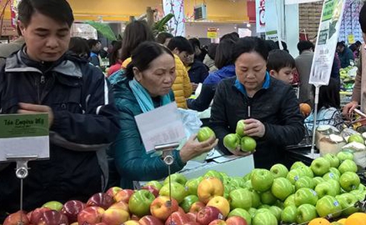 Hà Nội phấn đấu toàn bộ cửa hàng trái cây có đăng ký năm 2018