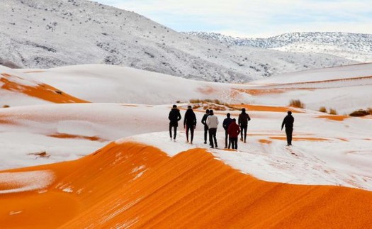 Ngắm cảnh tượng siêu hiếm: Tuyết phủ kín sa mạc đỏ Sahara