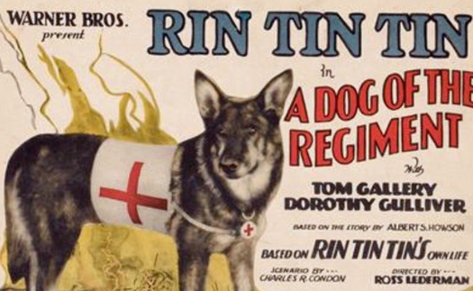 Rin Tin Tin - Minh tinh chó duy nhất trong lịch sử điện ảnh