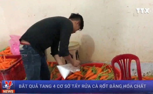 VIDEO: Bắt quả tang 4 cơ sở tẩy rửa 6 tấn cà rốt bằng hóa chất