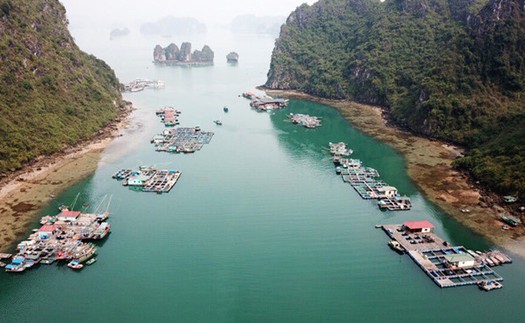 Phó Chủ tịch UBND thành phố Hạ Long: Không có việc 'ngăn sông cấm chợ' trên vịnh Hạ Long