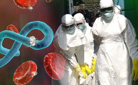 Bộ Y tế khuyến cáo cảnh giác phát hiện sớm, phòng lây nhiễm bệnh do vi rút Ebola