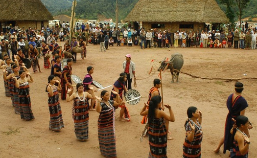 Bộ VHTTDL lên tiếng quanh thông tin về lễ hội đâm trâu ở Huế