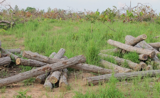 Kỷ luật bí thư xã uống bia với cán bộ, đảng viên tại trụ sở Ủy ban