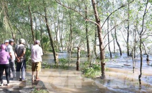 Vụ chìm sà lan trên sông Tiền: Tìm thấy thi thể một nạn nhân