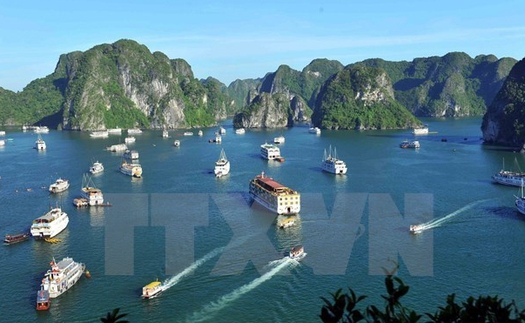 Đình chỉ hoạt động 2 tàu du lịch do vi phạm quy định về quản lý hoạt động tàu du lịch trên vịnh Hạ Long