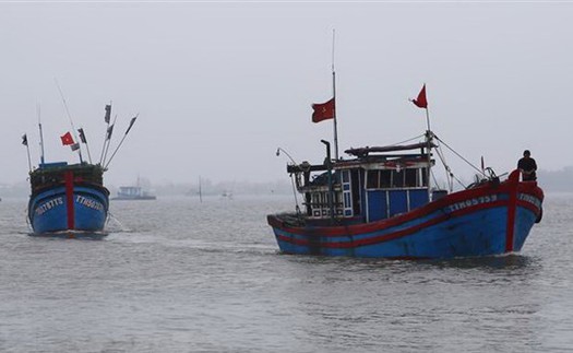 Bốn thuyền viên mê man, nguy kịch khi chui xuống hầm cá