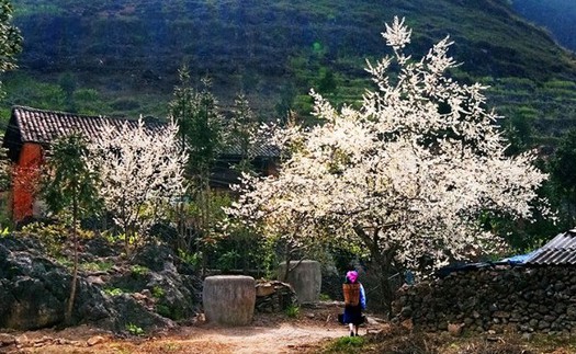 Sống chậm cuối tuần: 'Dấu lặng đơn' trên đường