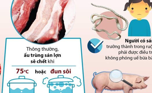 Làm gì để phòng chống bệnh sán lợn?